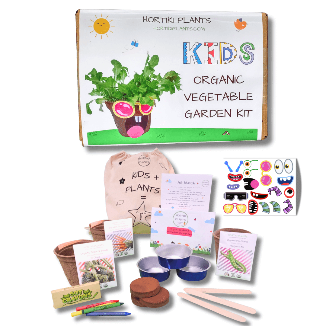 organic garden seed kit Kids Organic Vegetable Garden Kit – Hortiki Plants