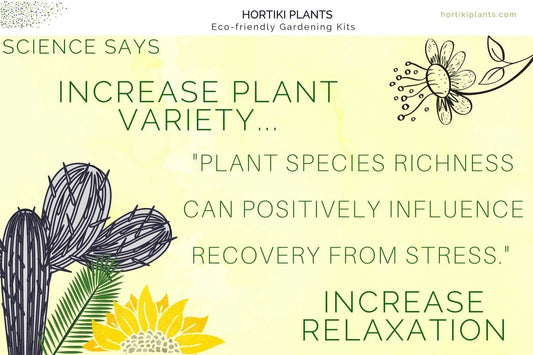 Why Increase Plant Variety in Your Home?