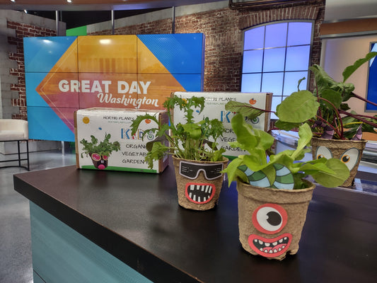 Hortiki kids garden kits display on a table with plants in tv studio