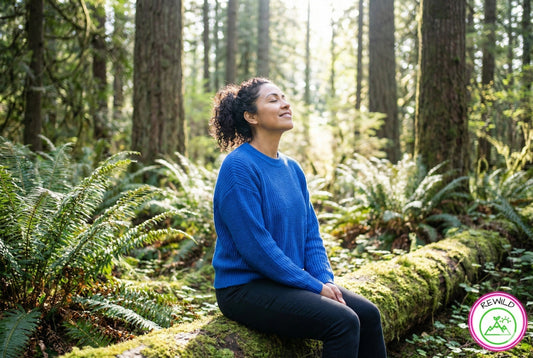 A Hispanic woman wearing a blue sweater sitting peacefully in a sunlit forest, looking up at the trees to practice soft fascination.