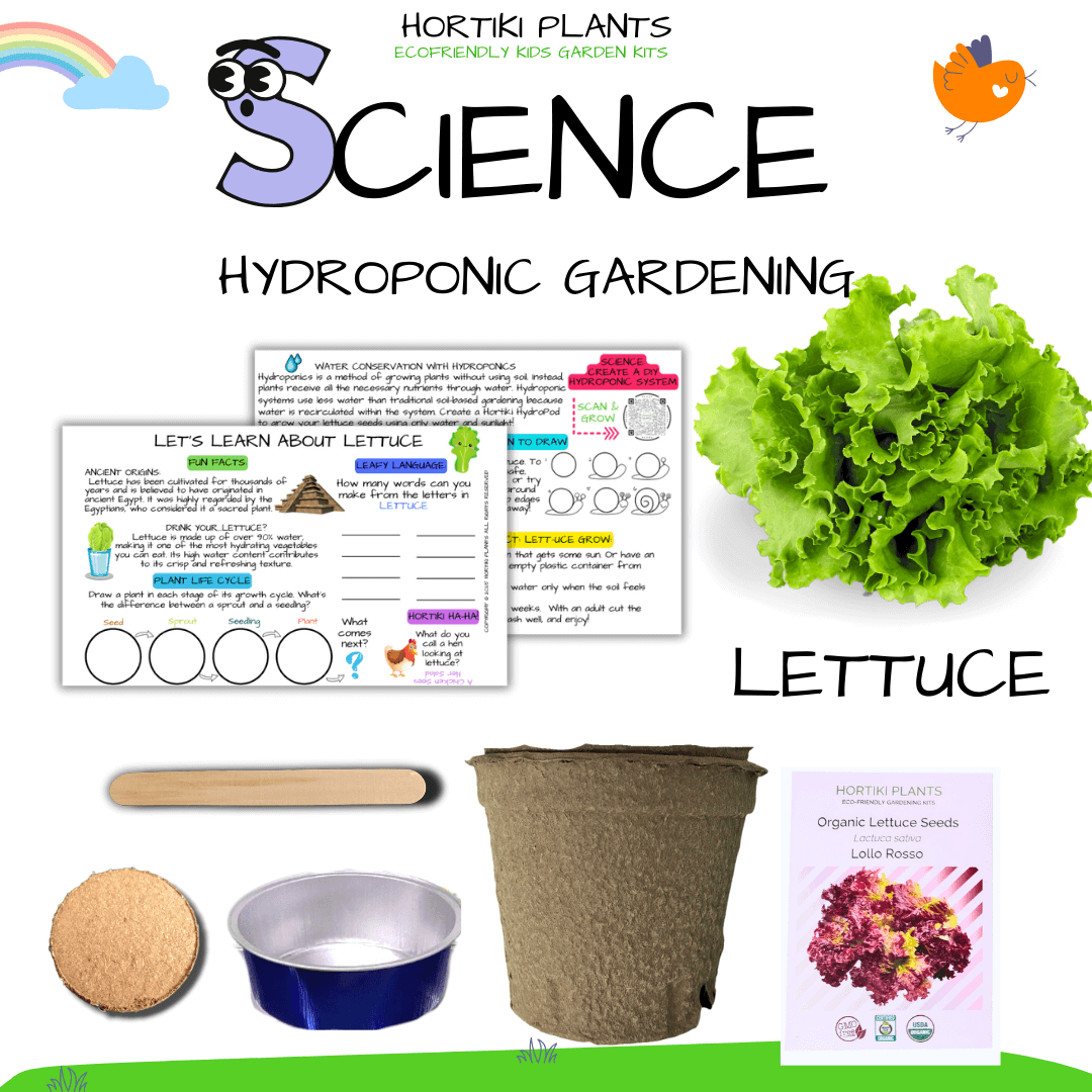 Hortiki Plants Kids Garden Card + Grow Kit: Lettuce