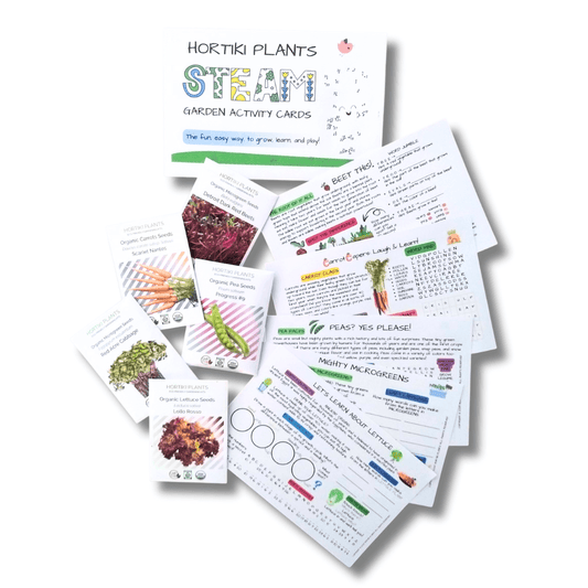 STEAM Activity Seed Cards - Complete 5 Veggie Set