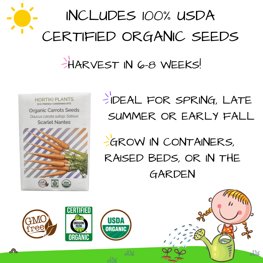🥕Carrots STEAM Activity Seed Card
