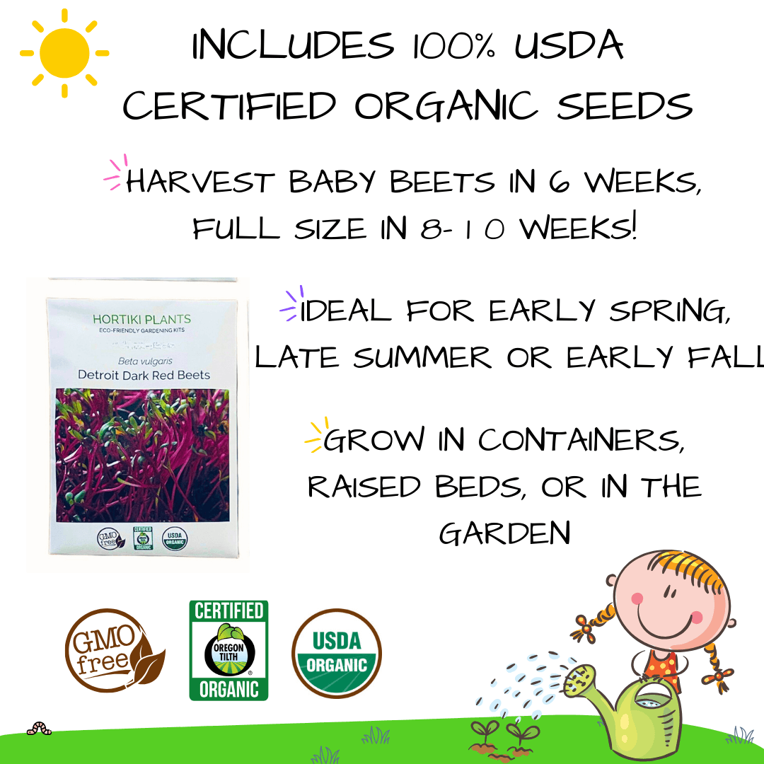 Beets Card + Grow Kit (Art -STEAM Series)