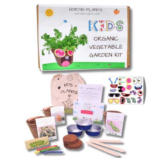 Kids Organic Vegetable Garden Kit