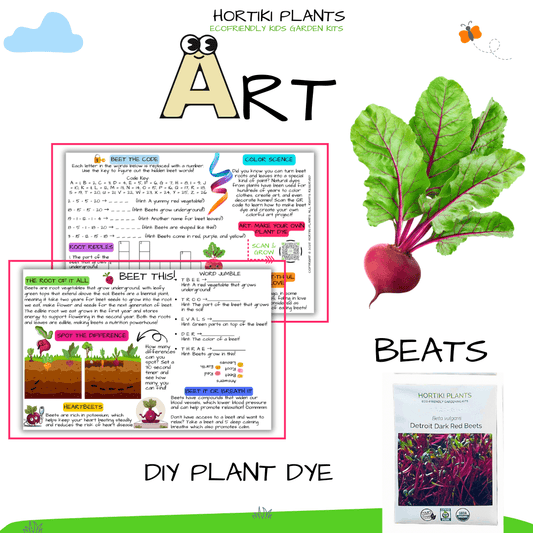 Beets STEAM Activity Seed Card