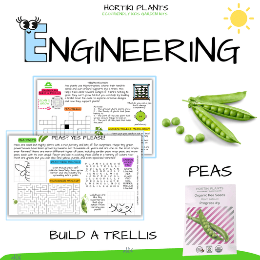 🌿 Kids Garden Peas STEAM Activity Seed Cards