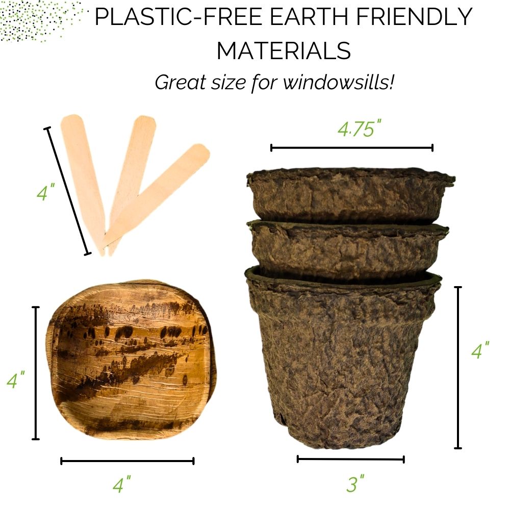 Organic Kitchen Herb Garden Kit - Corporate Gift