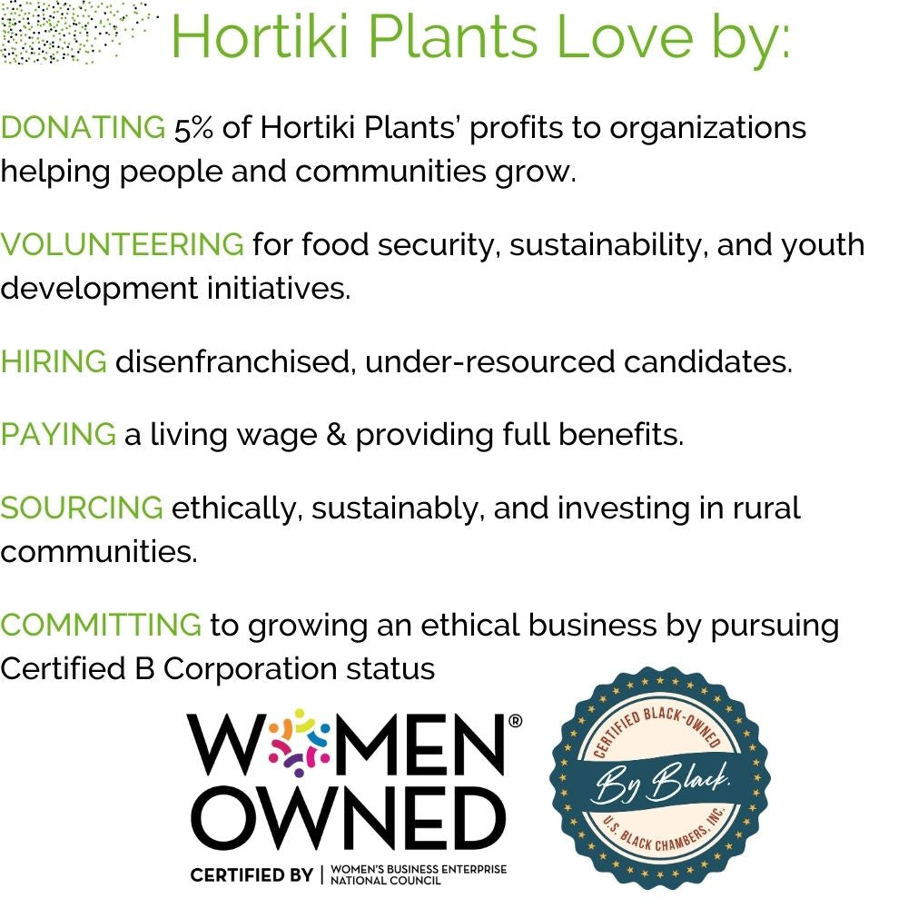 Organic Kitchen Herb Garden Kit - Corporate Gift