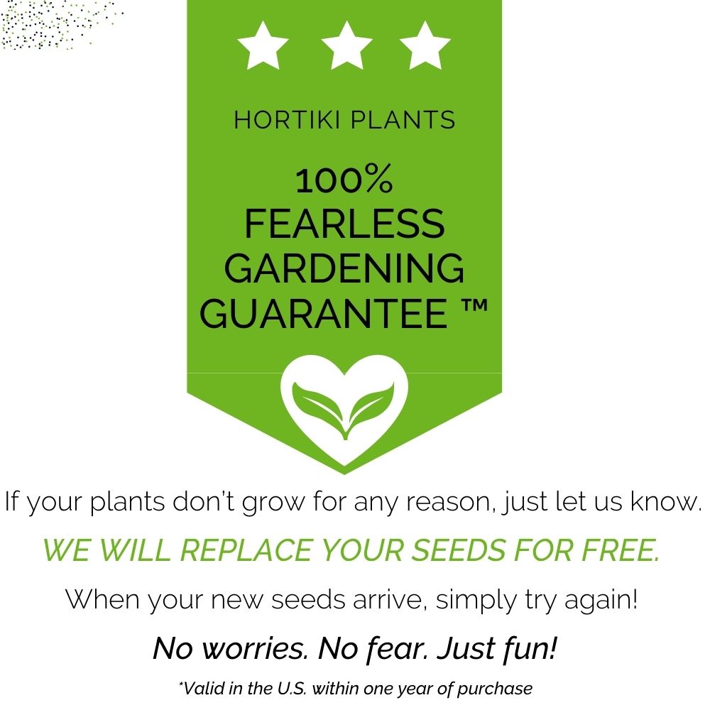 Organic Kale Container Garden Kit -  Corporate Gift