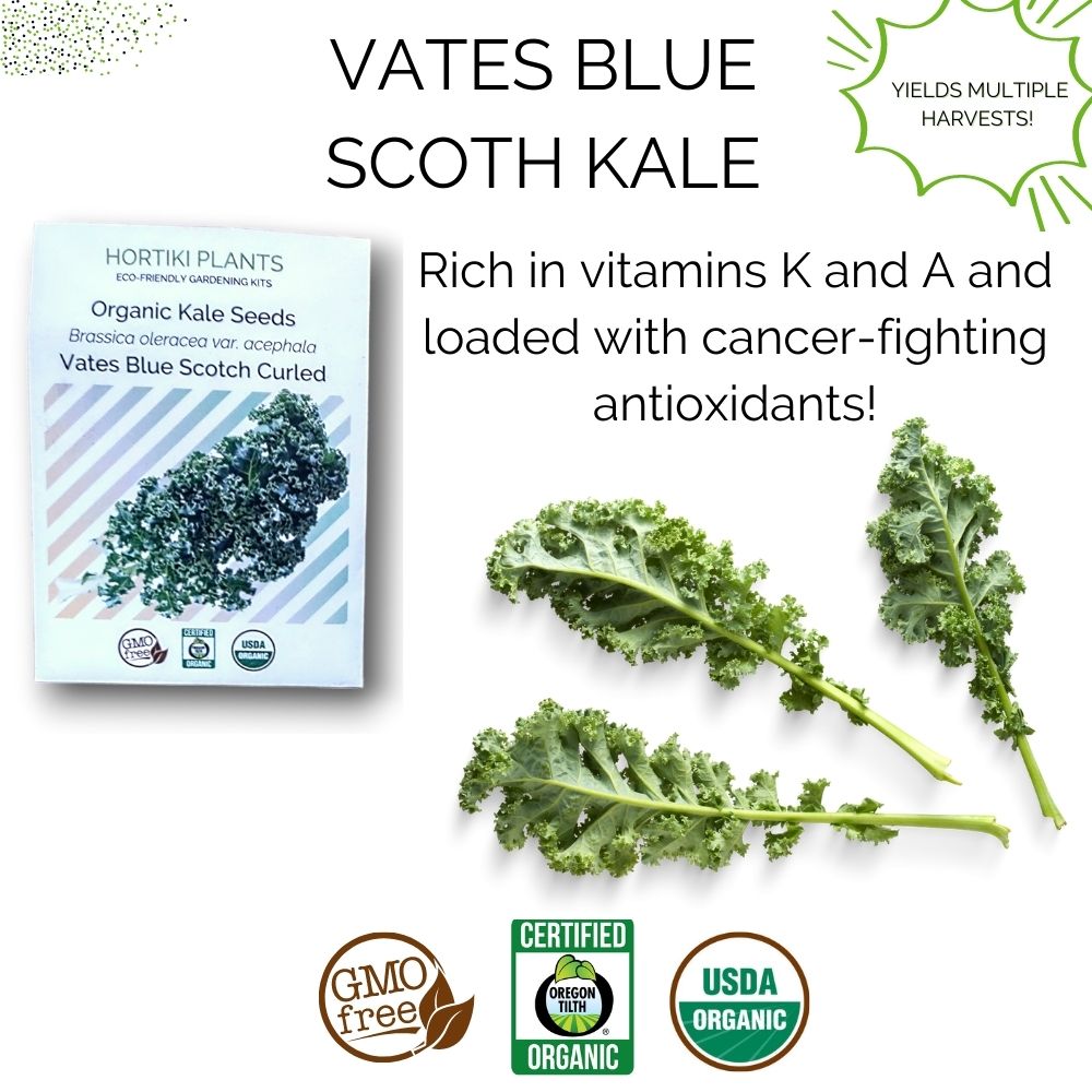 Organic Kale Container Garden Kit -  Corporate Gift