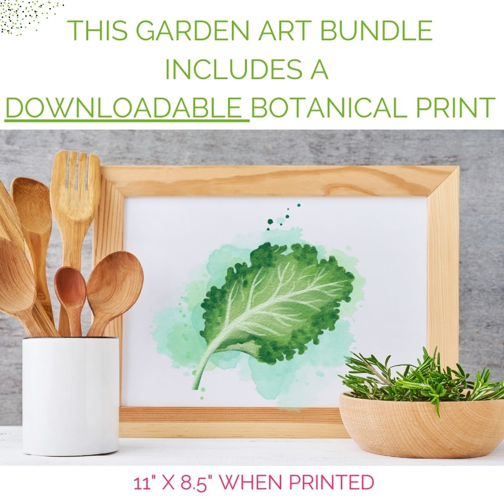 Organic Kale Container Garden Kit -  Corporate Gift