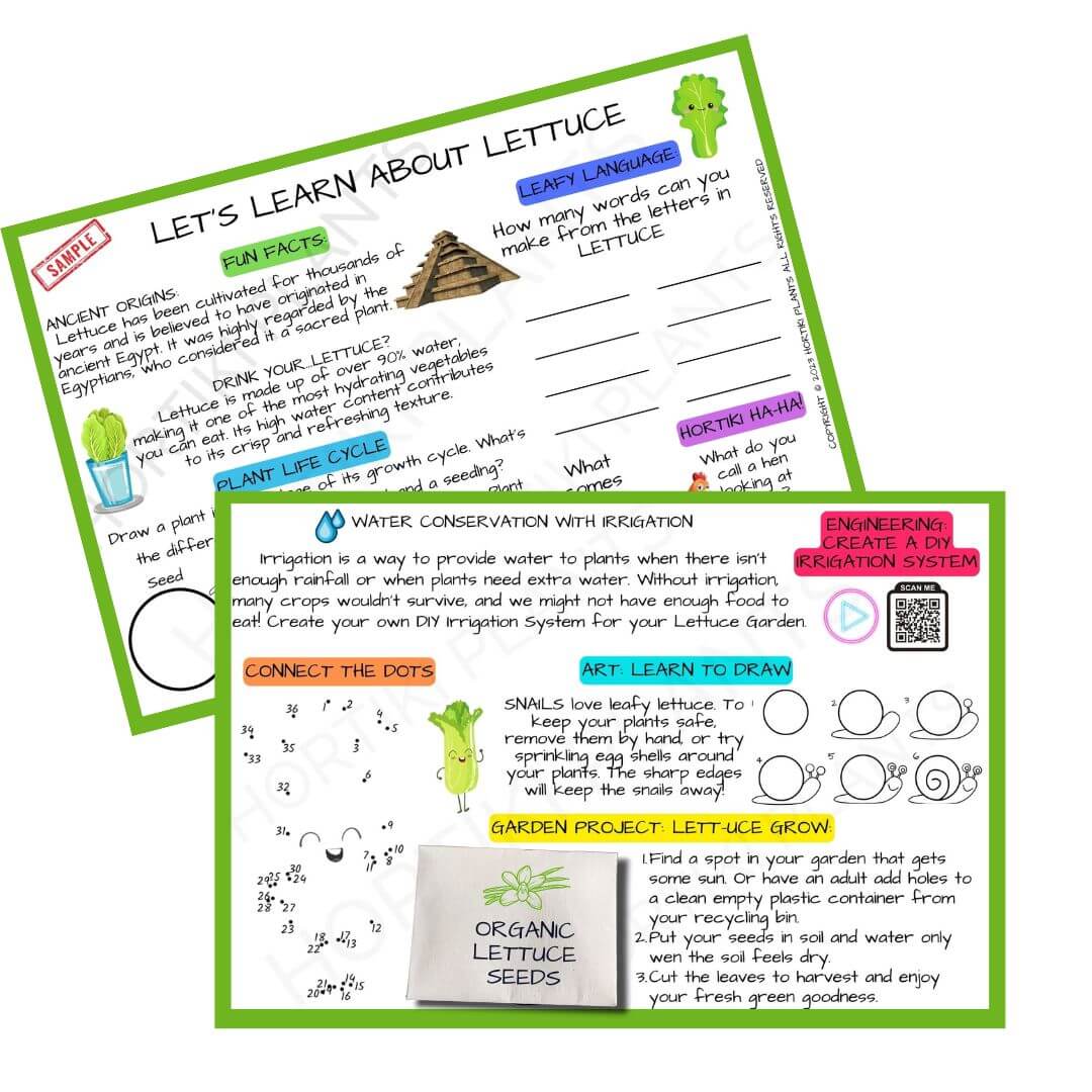 🥬Kids Garden Lettuce STEAM Activity Seed Card