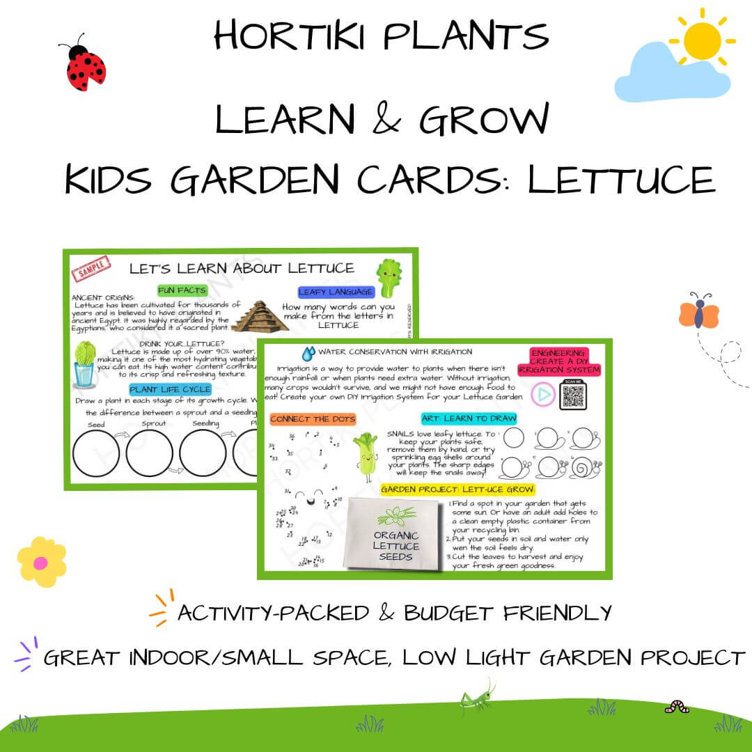 🥬Kids Garden Lettuce STEAM Activity Seed Card