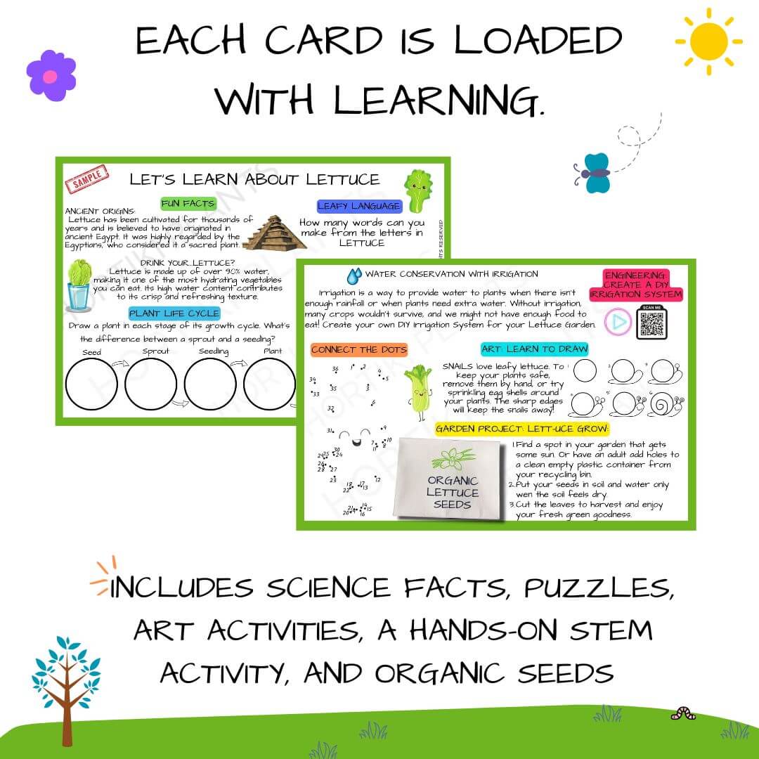 🥬Kids Garden Lettuce STEAM Activity Seed Card