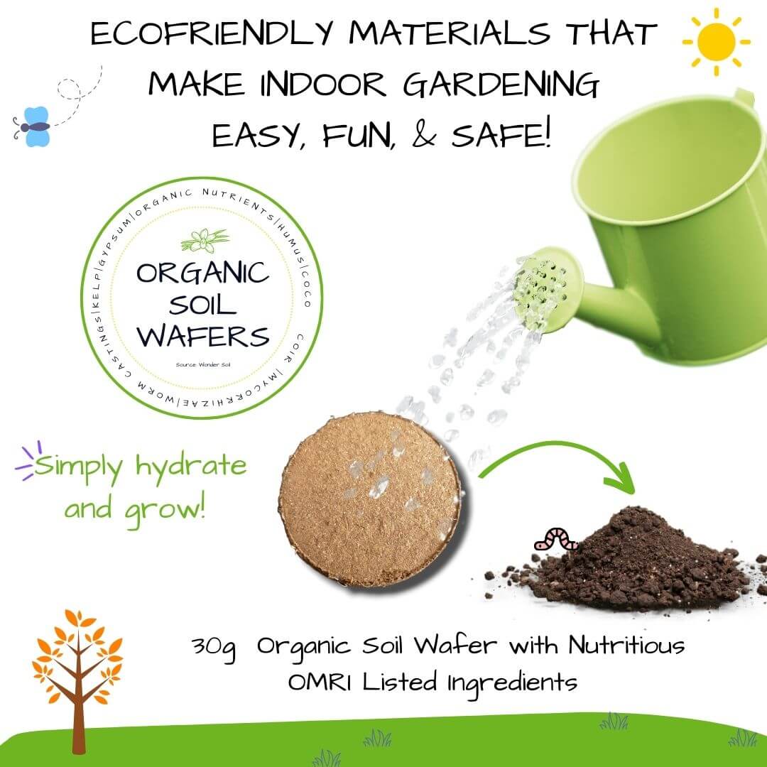 Hortiki Plants Kids Garden Card + Grow Kit: Lettuce