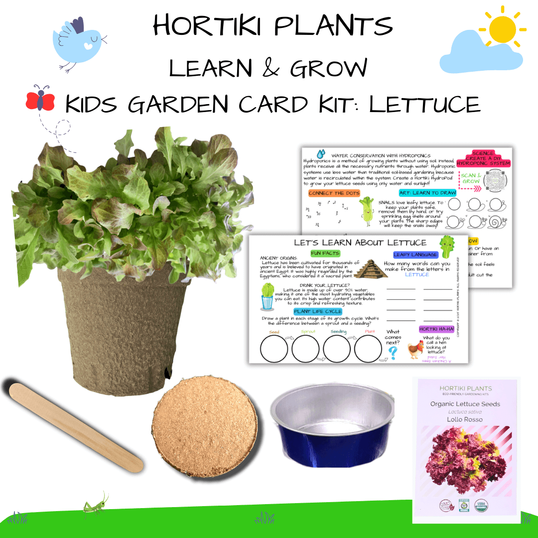 Hortiki Plants Kids Garden Card + Grow Kit: Lettuce
