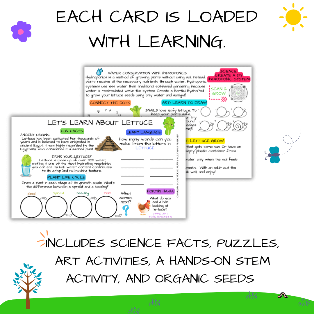 Hortiki Plants Kids Garden Card + Grow Kit: Lettuce