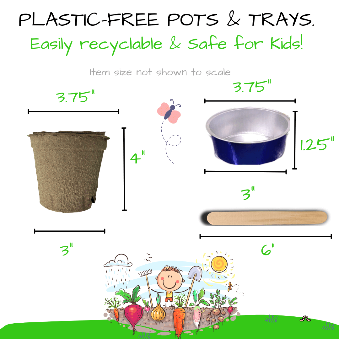 Hortiki Plants Kids Garden Card + Grow Kit: Lettuce