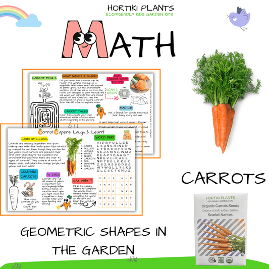 🥕Carrots STEAM Activity Seed Card