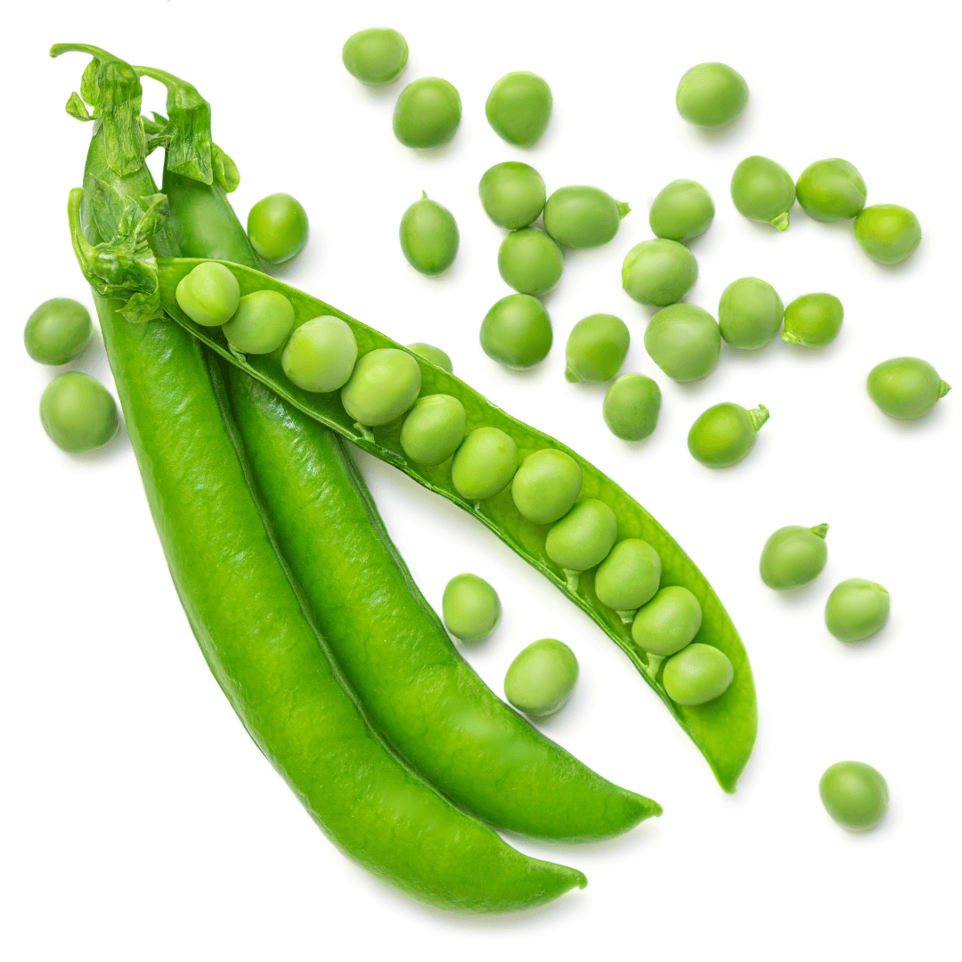🌿 Kids Garden Peas STEAM Activity Seed Cards