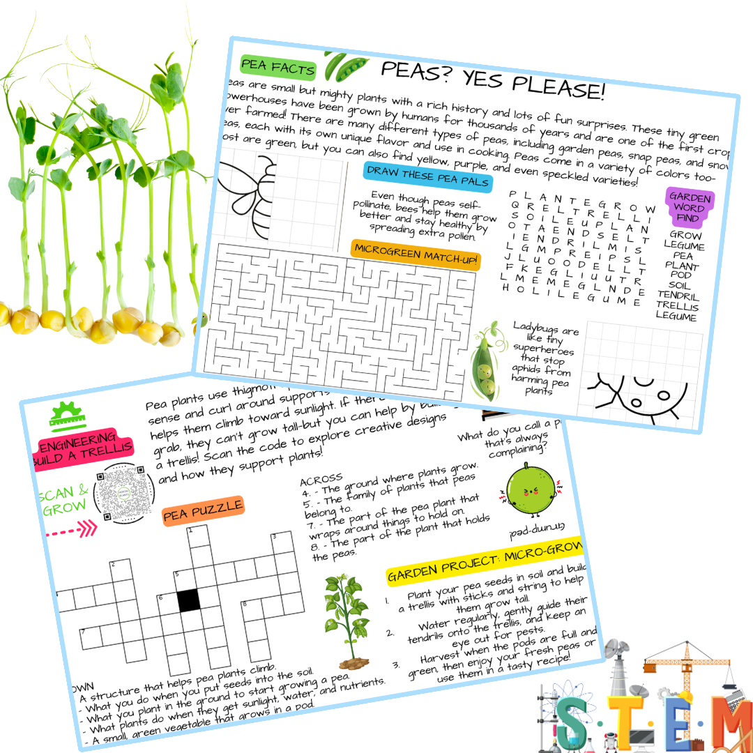 🌿 Kids Garden Peas STEAM Activity Seed Cards