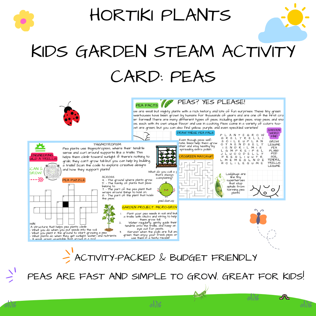 🌿 Kids Garden Peas STEAM Activity Seed Cards