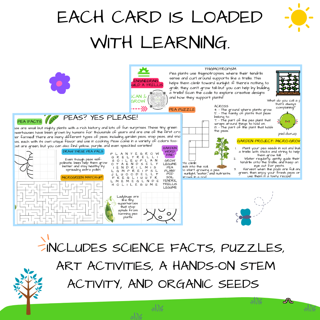 🌿 Kids Garden Peas STEAM Activity Seed Cards