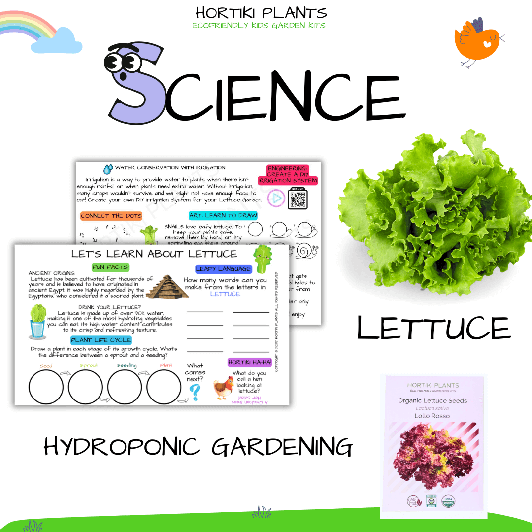 STEAM Activity Seed Cards - Complete 5 Veggie Set