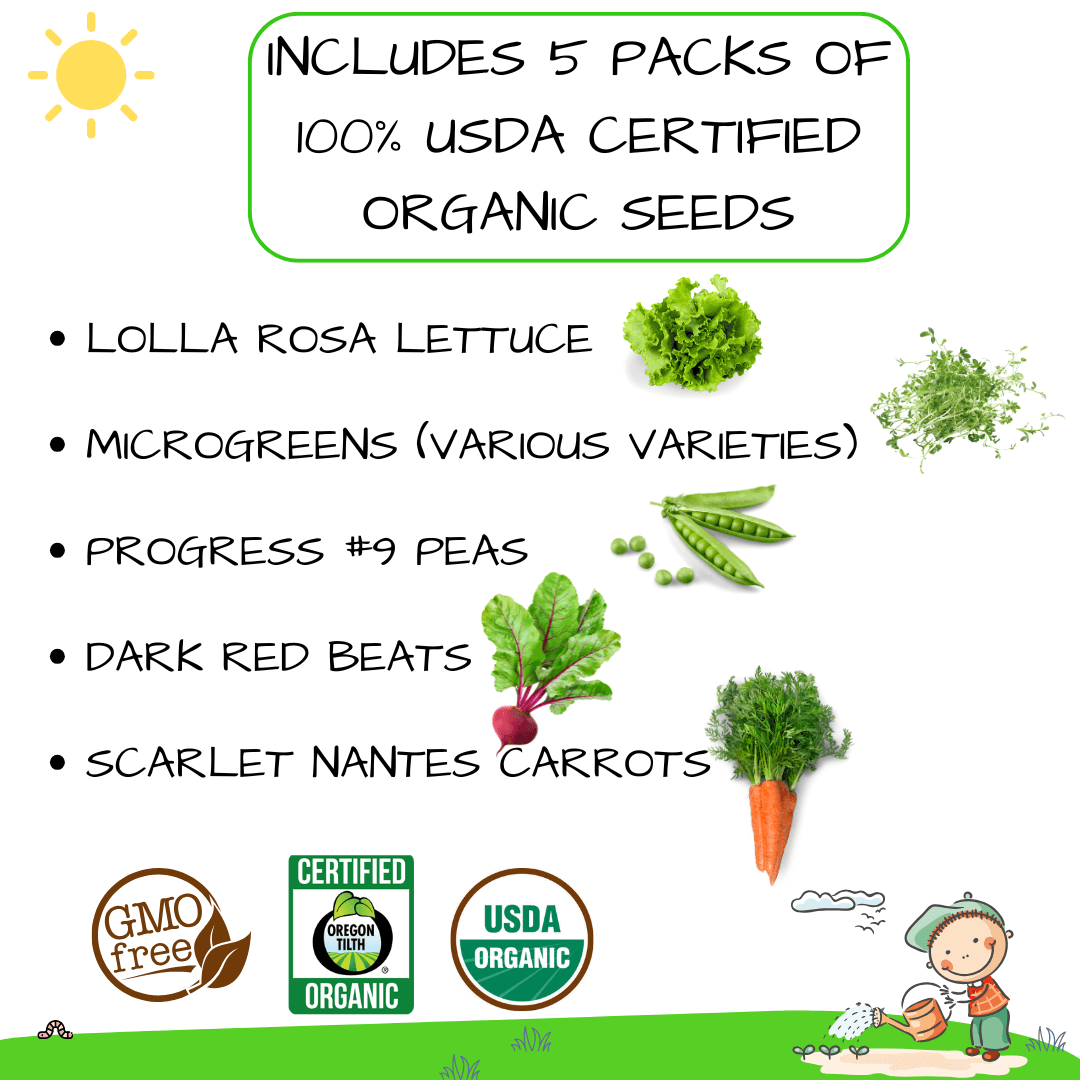 STEAM Activity Seed Cards - Complete 5 Veggie Set