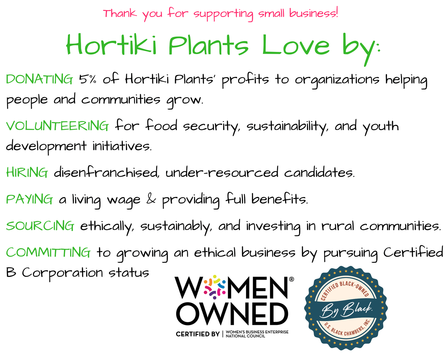 Hortiki Plants Kids Garden Card + Grow Kit: Lettuce