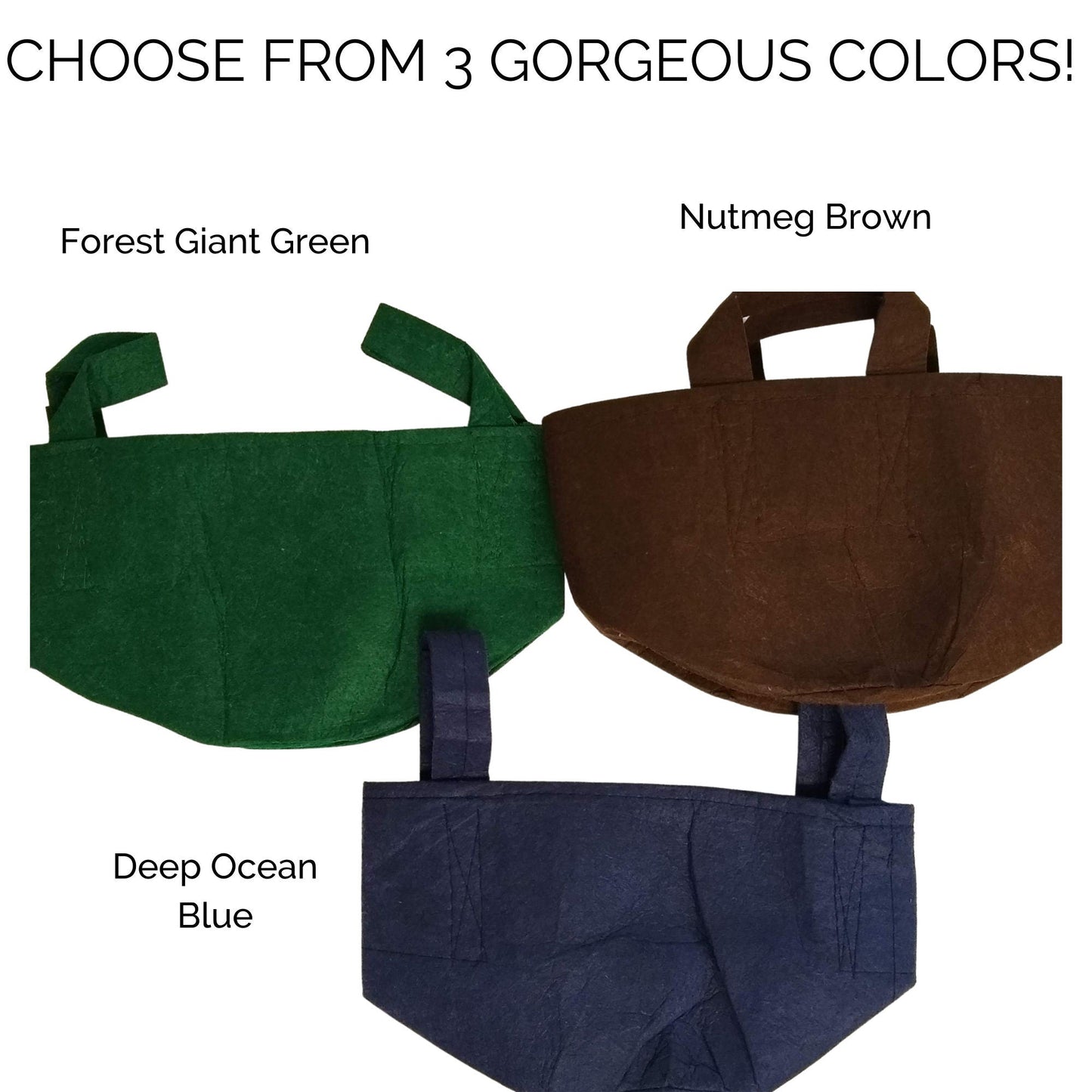 Organic Kale Container Garden Kit -  Corporate Gift