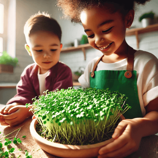 ✨Microgreen Card + Grow Kit (Technology - STEAM Series)
