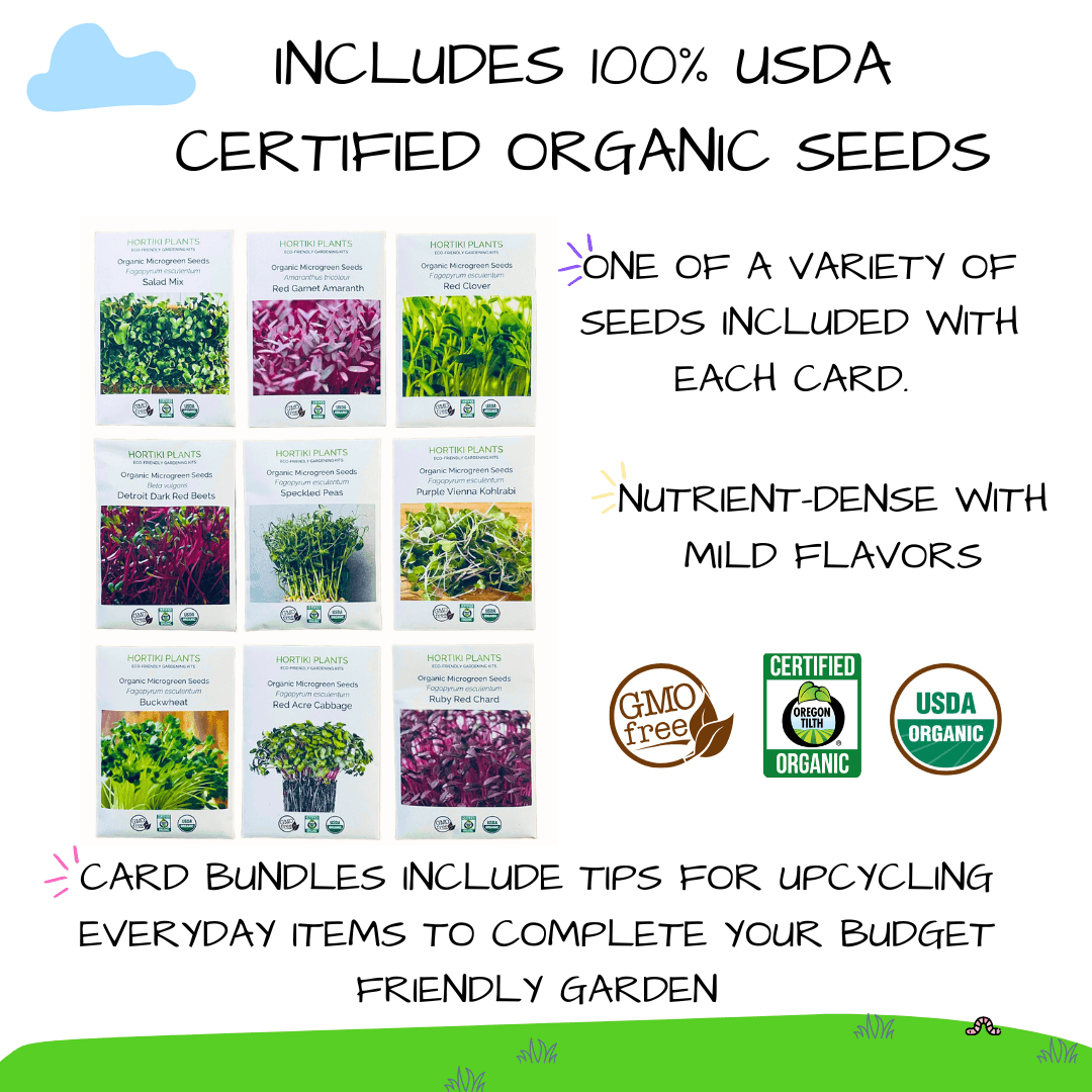 🔦Microgreens STEAM Activity Seed Card