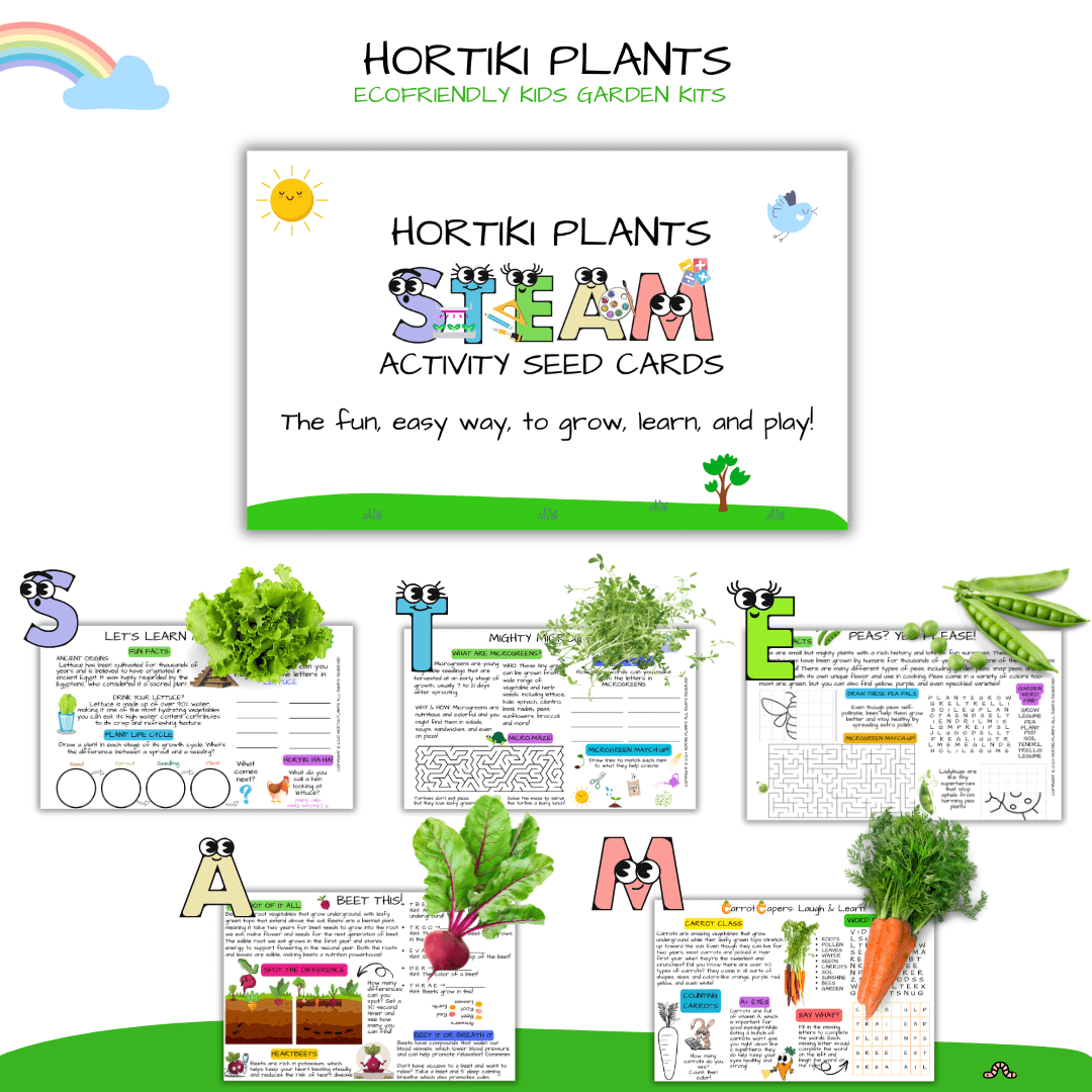 5 Steam activity cards with vegetables