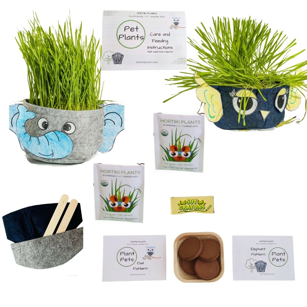 Kids Plant Pets|Kids Craft & Kids Garden Kit|Gift for Kids|STEM Toy –  Hortiki Plants