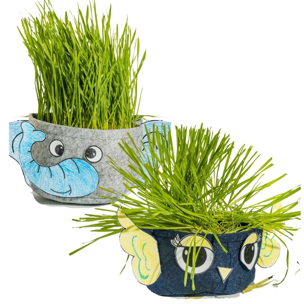 plastic toy plants Kids Plant Pets|Kids Craft & Kids Garden Kit|Gift for Kids|STEM Toy – Hortiki Plants